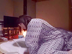 Best porn clip Female Orgasm great , take a look