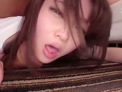 Coercion Suite collection VDD-144