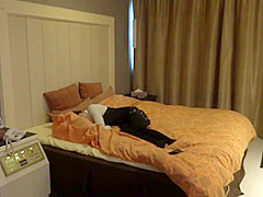 Astonishing sex clip Japanese fantastic will enslaves your mind