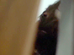 Excellent adult movie MILF check show