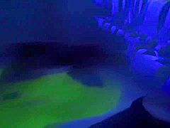 Asian boy in quarantine fuck with girl