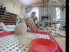 Incredible xxx clip Handjob unbelievable exclusive version