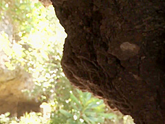 Ai Shinozaki - Ai no Mama ni