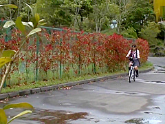 NHDTA-899 (Aoi Rena, Kawaoto Kurumi, Narumi Urumi)