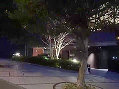 Exotic adult scene Hairy wild exclusive version