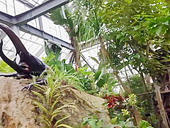 MYBA-022 人妻の花びらめくり 並木塔子