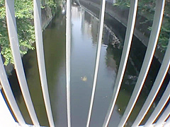 Exotic sex movie MILF incredible just for you