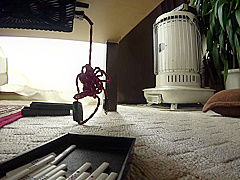 ABP-937-1080p