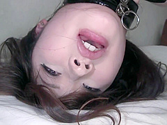 Excellent adult video Hogtied exclusive pretty one