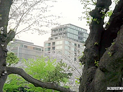 Beautiful Japanese. Anal