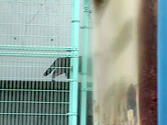 Transformation Pet with Real Estate Suzumura Airi with Rent Property 01