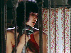 Pink Curtain (35mm Remastered)