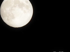 AUKG-374 YOMESHUTO LESBIAN CORMORANTS DAUGHTER-IN-LAW A