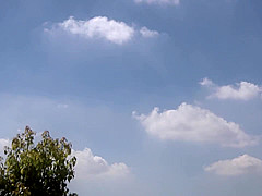 AUKG-380 MY BEAUTIFUL DEAR WIFE, SHE IS WORKING AT A SE