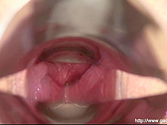 Various Omnibus Mancoe Extra Edition Creampie Inside