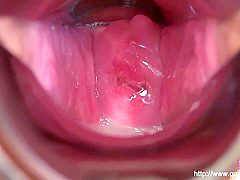 Various Omnibus Mancoe Extra Edition Creampie Inside