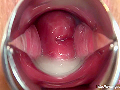 Various Omnibus Mancoe Extra Edition Creampie Inside