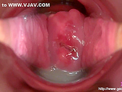 Various Omnibus Mancoe Extra Edition Creampie Inside