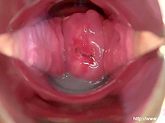 Various Omnibus Mancoe Extra Edition Creampie Inside