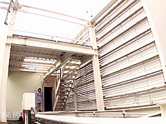 Anna Kago Japanese 18 Videos