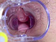 Off For A Limited Time A Dance Studio Manager Who Is In Trouble With Working Capital Mass Loan To Celebrity Black Abalone With Bonus