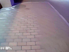 Natural Musume Best Permanent Preservation Version Mika Sawano Riki Kiyama Minami Akiyoshi Mika Shimazaki