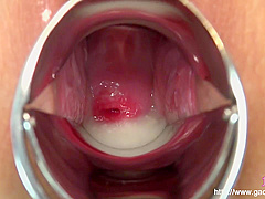 Omnibus Amina Et Al Mancoe Extra Edition Creampie Cocoa