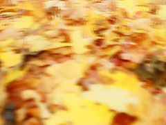 Watch4Beauty - Davon Kim: Forest Nymph