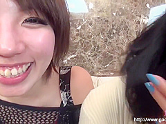 Gatty Daughter Gachi 1160 Bisexual 1 Pre Light Hiroka