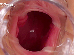 Pussy Picture Book Sara Saijo Narimiya Harua Article Rion Nozomi Canna Hekikirin Mizuki Yume