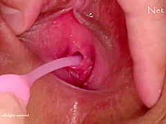 Disgraceful Cabin Attendant