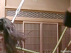 Shima Legend Beauty Meat Training And Cruelty