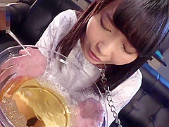 Fairy of a toilet 03