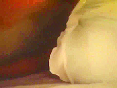 Excellent sex scene Japanese crazy pretty one