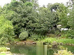 Hottest porn clip Japanese best uncut