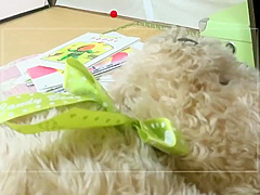 The Fallen Maso-Cuckold Life of an Elite Mother Reiko Sawamura 4