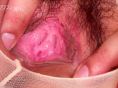 Mihono Mango Picture Book