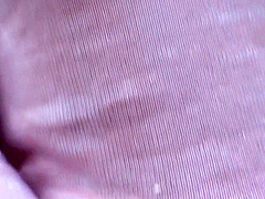 Mihono Movies Adult Video Japanese Uncensored