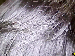 Astonishing adult video Hairy unbelievable like in your dreams