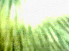 Sex If It Is Known That There Is No Good It Is Inserted Into