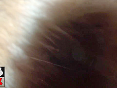 Hottest xxx movie Brunette great will enslaves your mind