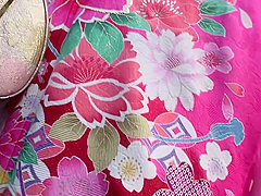 Himekawa Yuunashiina Yukojima Hiyoriyuna Himekawa Yu Shina Hiyori Kojima Mai Osawa