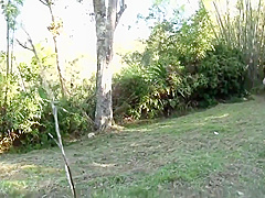 Another Japanese Girl Visits Africa