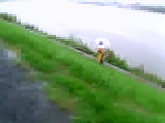 JAV PPM - Hisako Miwa