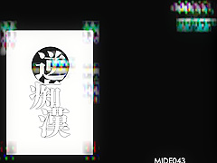 Another Reverse Molester