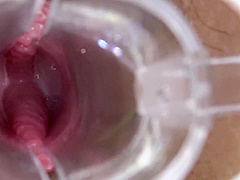 Kirishima Mikahonjo Ayanooohashi Hitomikikuchi Yoshinoinoue Ayako