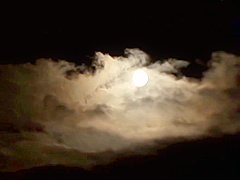 Best xxx video Big Tits best unique