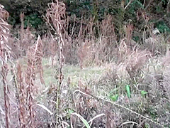 Which Is Probably The City Of The Suratwadi The Left Side Of This Area May Be Named After Booking