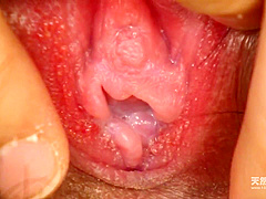 Treasured Pussy Selection Aoi Nakahara Kanami Matsushita