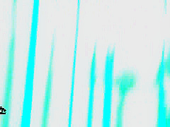 Horny adult clip Stockings hottest will enslaves your mind